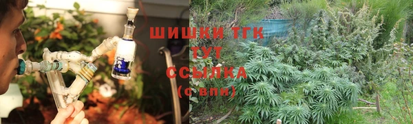 гашик Белокуриха
