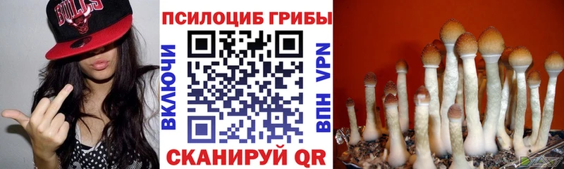 Галлюциногенные грибы ЛСД как найти закладки Михайлов